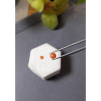 0.57 Ct.Tw.Total Carat Weight Cabochon Coral Pair from Italy Life Style