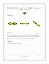 21.27 Ct.Tw.Total Carat Weight Green Peridot Pair from Ceylon (Sri Lanka) Appraisal
