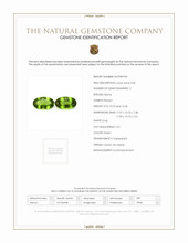 21.27 Ct.Tw.Total Carat Weight Green Peridot Pair from Ceylon (Sri Lanka) Scan Report