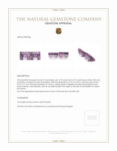 9.40 Ct.Tw.Total Carat Weight Tourmaline Pair from Ceylon (Sri Lanka) Appraisal