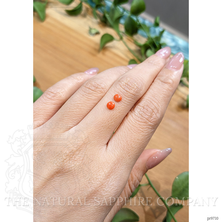 0.34 Ct.Tw. Cabochon Coral Pair from Italy