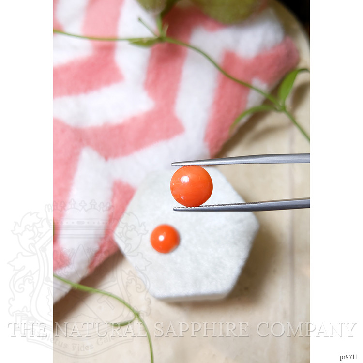 4.85 Ct.Tw. Cabochon Coral Pair from Italy