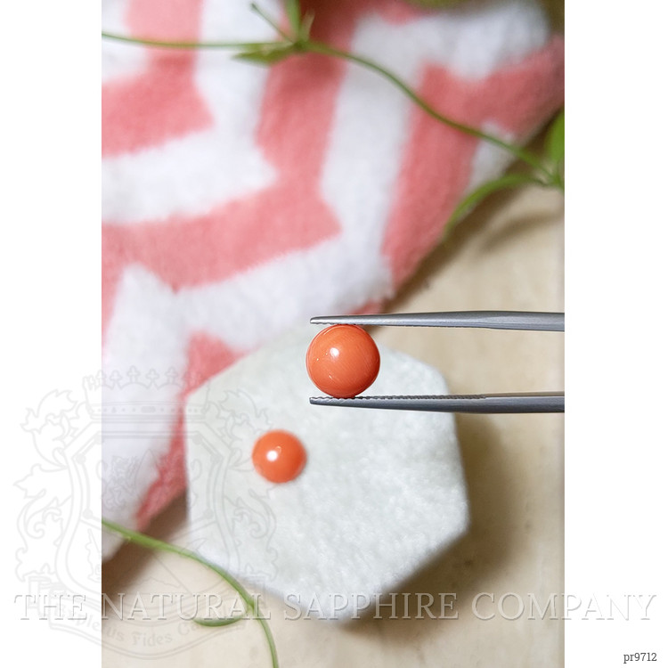 3.95 Ct.Tw. Cabochon Coral Pair from Italy