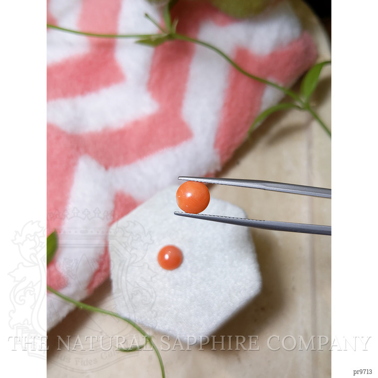 2.30 Ct.Tw. Cabochon Coral Pair from Italy