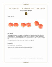 0.93 Ct.Tw.Total Carat Weight Cabochon Coral Pair from Italy Appraisal