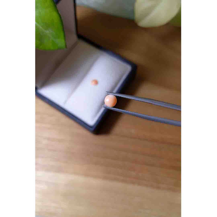 0.77 Ct.Tw. Cabochon Coral Pair from Italy