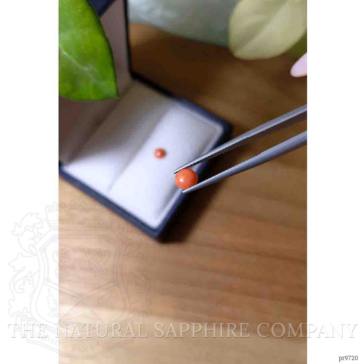 0.91 Ct.Tw. Orange Cabochon Coral Pair from Italy