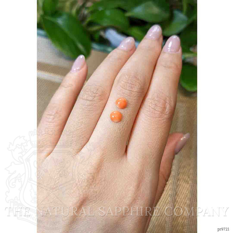 0.83 Ct.Tw. Cabochon Coral Pair from Italy