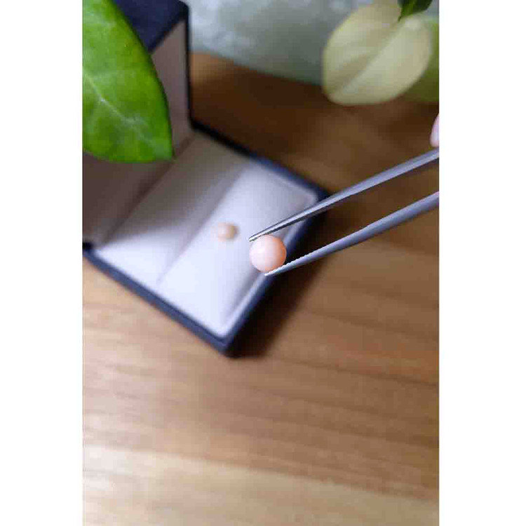 2.27 Ct.Tw. Cabochon Coral Pair from Italy