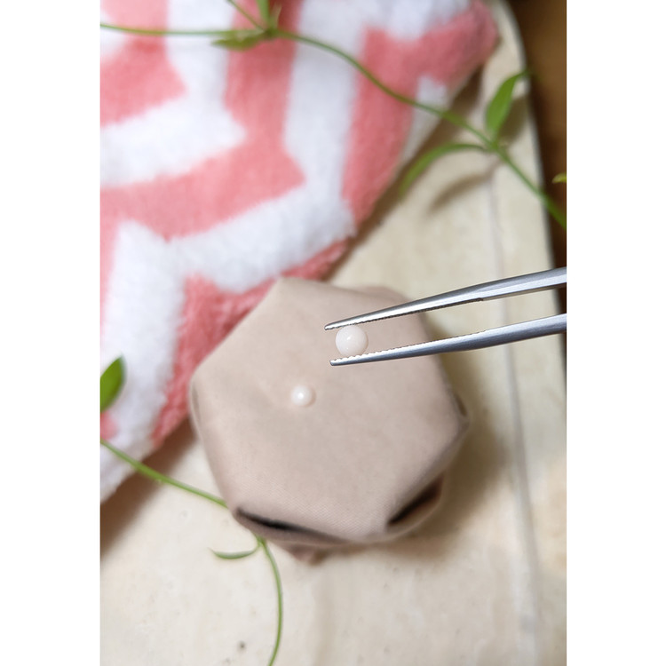 0.45 Ct.Tw. Cabochon Coral Pair from Italy