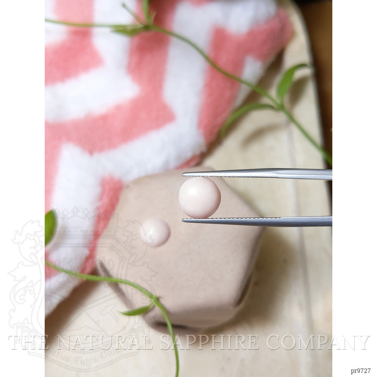 4.66 Ct.Tw. Cabochon Coral Pair from Italy