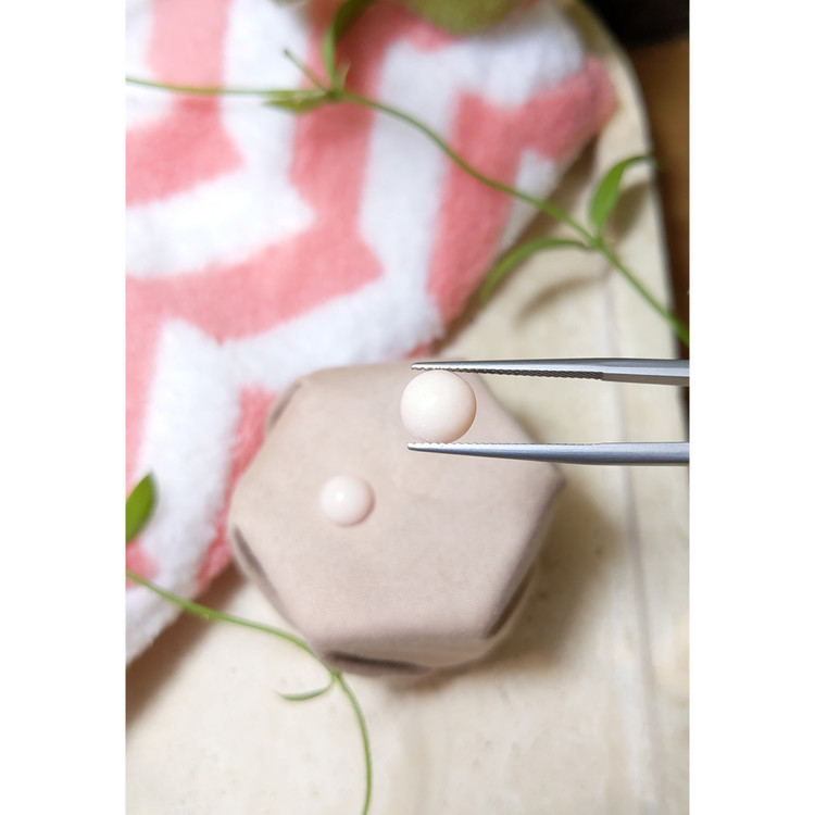 3.62 Ct.Tw. Cabochon Coral Pair from Italy