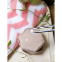 0.51 Ct.Tw.Total Carat Weight Cabochon Coral Pair from Italy Life Style