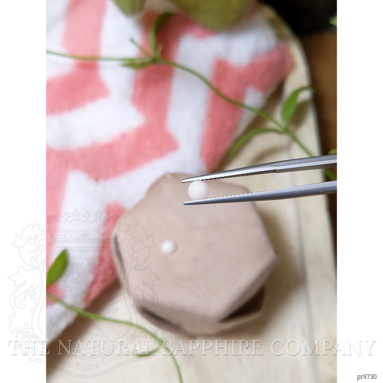 0.51 Ct.Tw. Cabochon Coral Pair from Italy