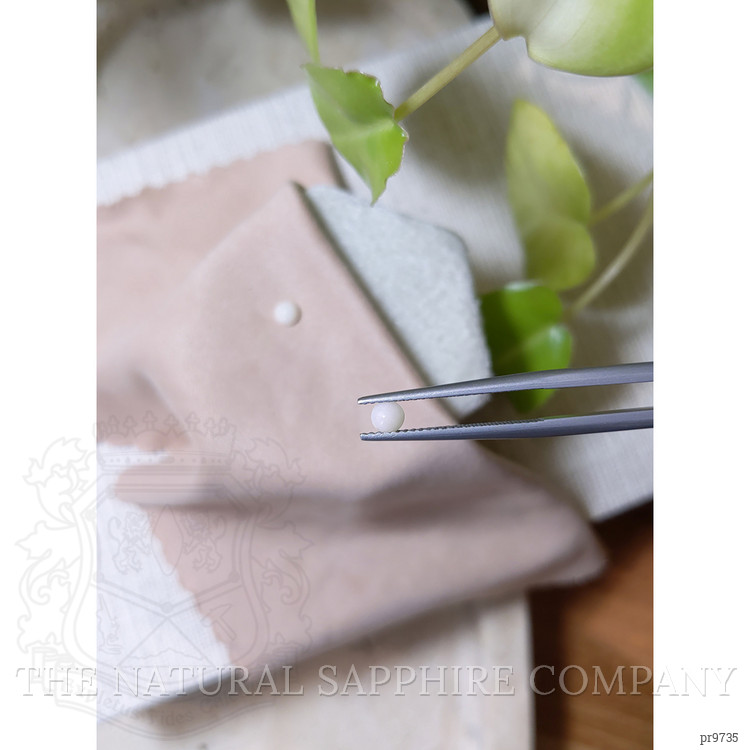 0.33 Ct.Tw. Cabochon Coral Pair from Italy