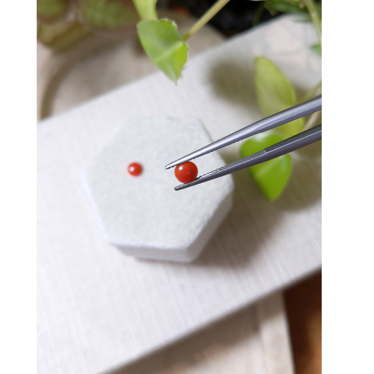 0.56 Ct.Tw. Cabochon Coral Pair from Italy