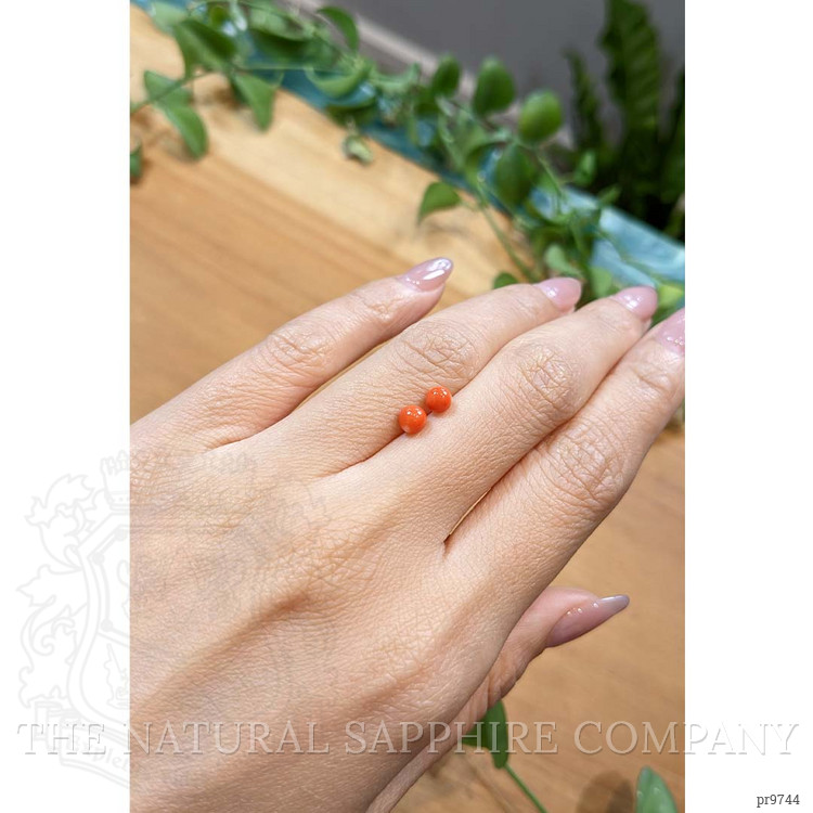 1.18 Ct.Tw. Coral Pair from Italy