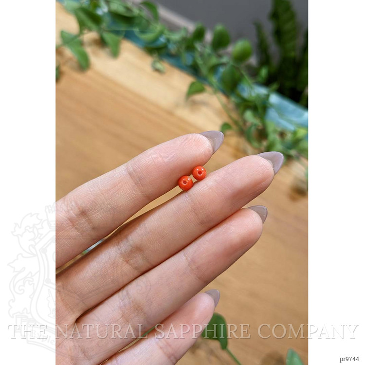 1.18 Ct.Tw. Coral Pair from Italy