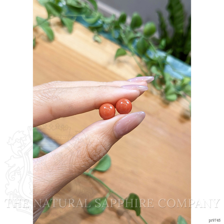 10.81 Ct.Tw. Cabochon Coral Pair from Italy