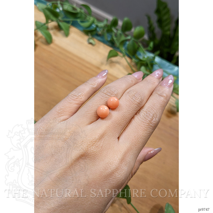 7.51 Ct.Tw. Coral Pair from Italy