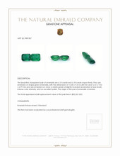 12.28 Ct.Tw.Total Carat Weight Emerald Pair from Zambia Appraisal