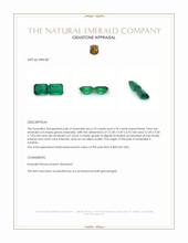 12.28 Ct.Tw.Total Carat Weight Emerald Pair from Zambia Appraisal