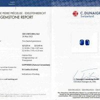 10.66&nbsp;Ct.Tw.Total Carat Weight Blue Sapphire Pair from Ceylon (Sri Lanka) Scan Report