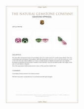 1.90 Ct.Tw.Total Carat Weight Tourmaline Pair from Nigeria Appraisal