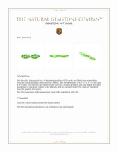 1.59 Ct.Tw.Total Carat Weight Tsavorite Garnet Pair from Tanzania Appraisal