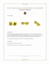 2.36 Ct.Tw.Total Carat Weight Greenish Yellow Garnet Pair from Tanzania Appraisal