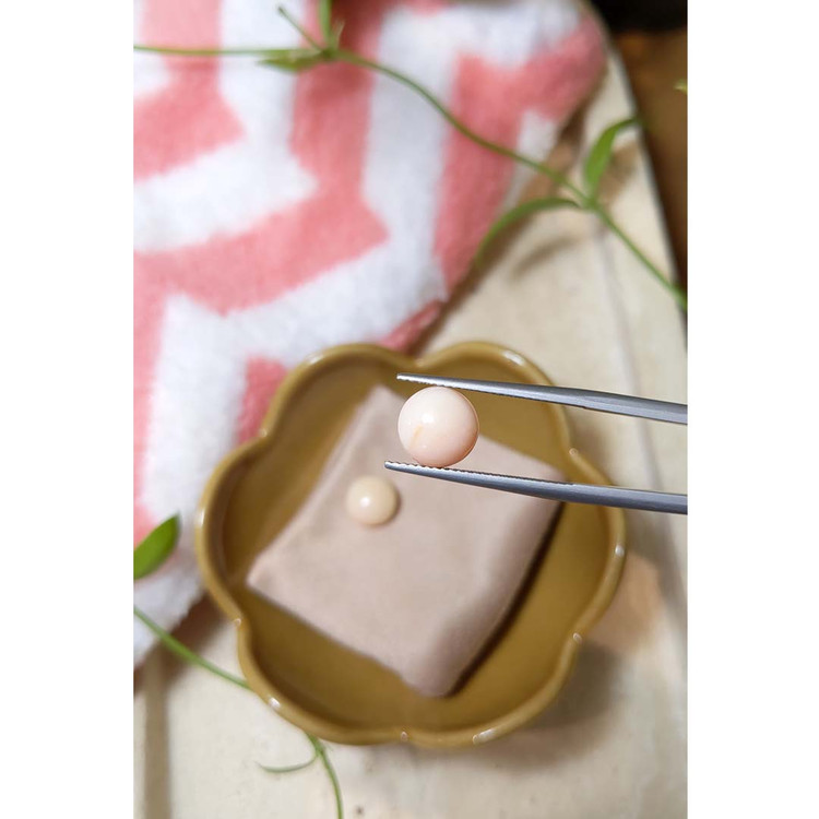 6.53 Ct.Tw. Cabochon Coral Pair from Italy