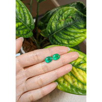 5.17 Ct.Tw.Total Carat Weight Emerald Pair from Brazil Life Style