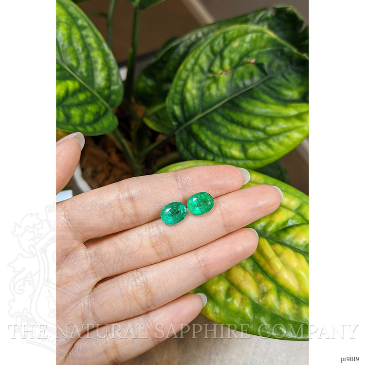 5.17 Ct.Tw. Emerald Pair from Brazil