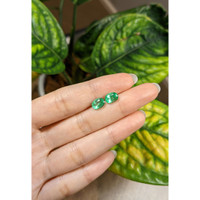 2.55 Ct.Tw.Total Carat Weight Emerald Pair from Ethiopia Life Style