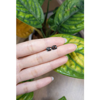 1.83&nbsp;Ct.Tw.Total Carat Weight Spinel Pair from Burma (Myanmar) Life Style