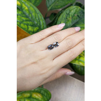 3.89&nbsp;Ct.Tw.Total Carat Weight Spinel Pair from Burma (Myanmar) Life Style