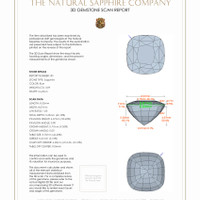 6.10&nbsp;Ct.Tw.Total Carat Weight Blue Sapphire Pair from Ceylon (Sri Lanka) 3 D Scan Report