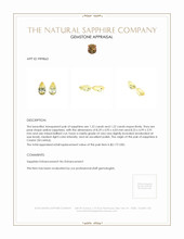 2.44 Ct.Tw.Total Carat Weight Yellow Sapphire Pair from Ceylon (Sri Lanka) Appraisal