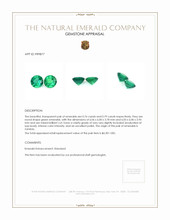 1.55 Ct.Tw.Total Carat Weight Emerald Pair from Zambia Appraisal