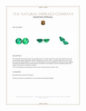 1.55 Ct.Tw.Total Carat Weight Emerald Pair from Zambia Appraisal