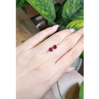 1.62 Ct.Tw.Total Carat Weight Ruby Pair from Mozambique Life Style