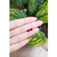 1.62&nbsp;Ct.Tw.Total Carat Weight Ruby Pair from Mozambique Life Style