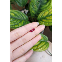 0.95 Ct.Tw.Total Carat Weight Ruby Pair from Mozambique Life Style