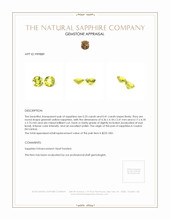 0.74 Ct.Tw.Total Carat Weight Greenish Yellow Sapphire Pair from Ceylon (Sri Lanka) Appraisal