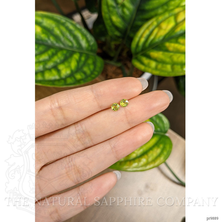 0.74 Ct.Tw. Greenish Yellow Sapphire Pair from Ceylon (Sri Lanka)