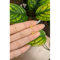 1.65&nbsp;Ct.Tw.Total Carat Weight Yellow Sapphire Pair from Ceylon (Sri Lanka) Life Style