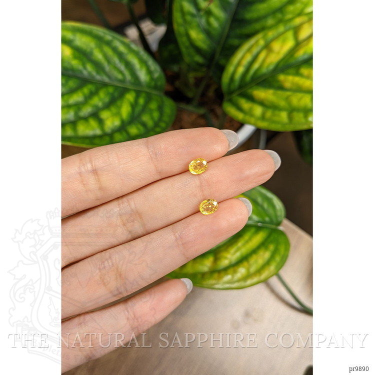 1.65 Ct.Tw. Yellow Sapphire Pair from Ceylon (Sri Lanka)