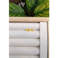 1.81&nbsp;Ct.Tw.Total Carat Weight Yellow Sapphire Pair from Ceylon (Sri Lanka) Life Style