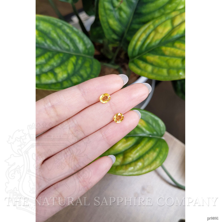 1.81 Ct.Tw. Yellow Sapphire Pair from Ceylon (Sri Lanka)