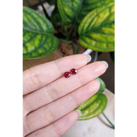 1.51 Ct.Tw.Total Carat Weight Ruby Pair from Mozambique Life Style